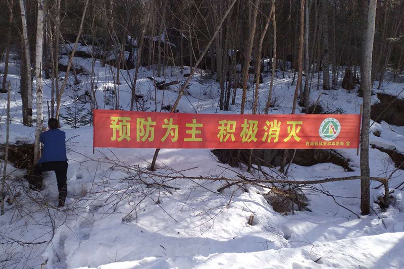 圖片3.jpg